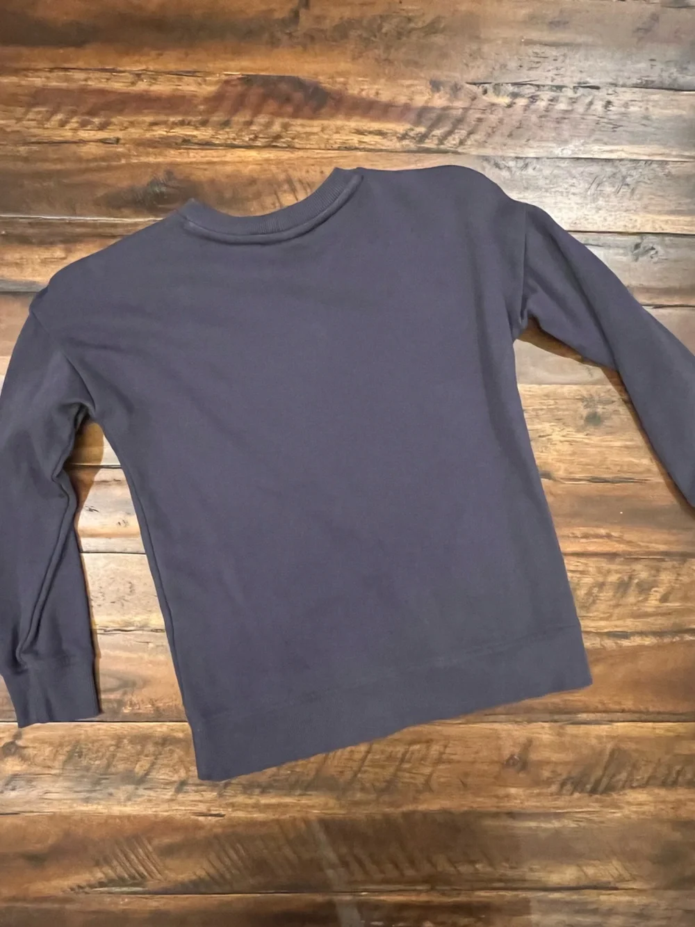Hanna Andersson Navy Sweatshirt with Pink & Green Strawberry Appliqués